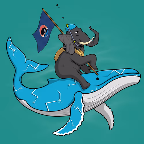 Ocean Racer #878