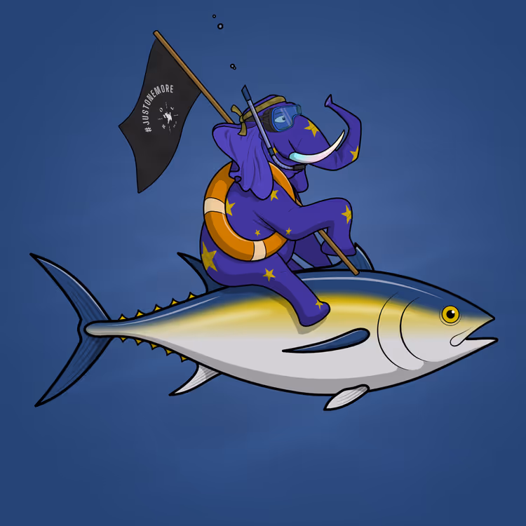 Ocean Racer #10777