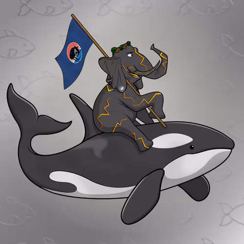 Ocean Racer #10857