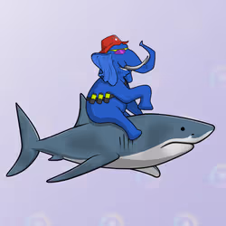 Ocean Racer #16795