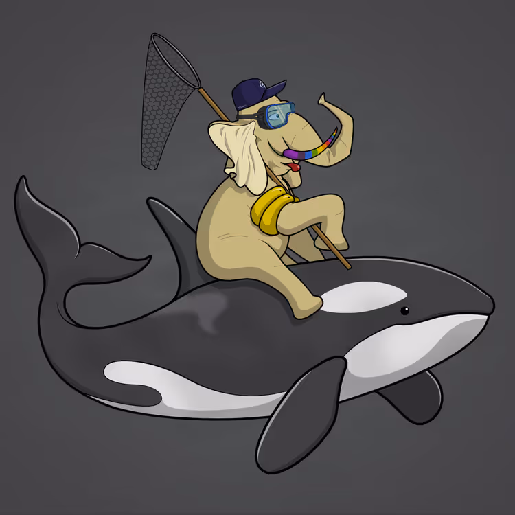 Ocean Racer #56