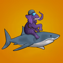 Ocean Racer #11703