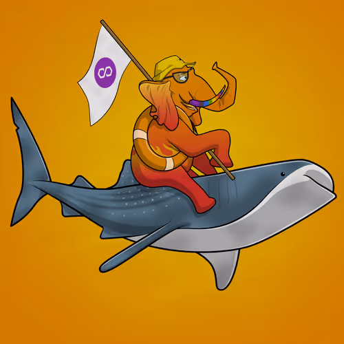 Ocean Racer #11192