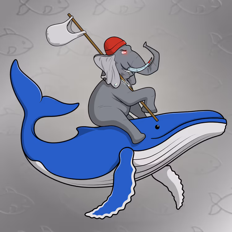 Ocean Racer #12554