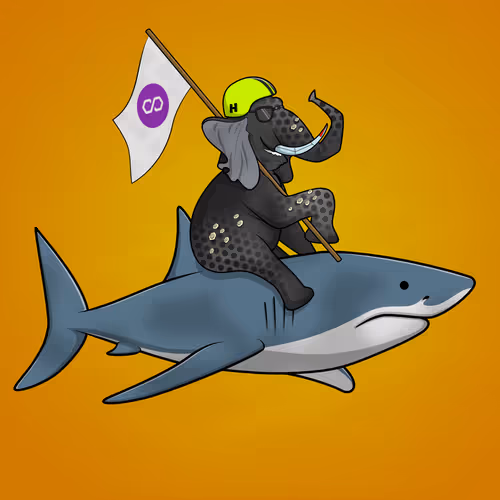 Ocean Racer #15579