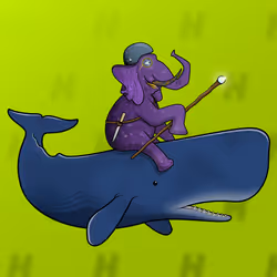 Ocean Racer #17701