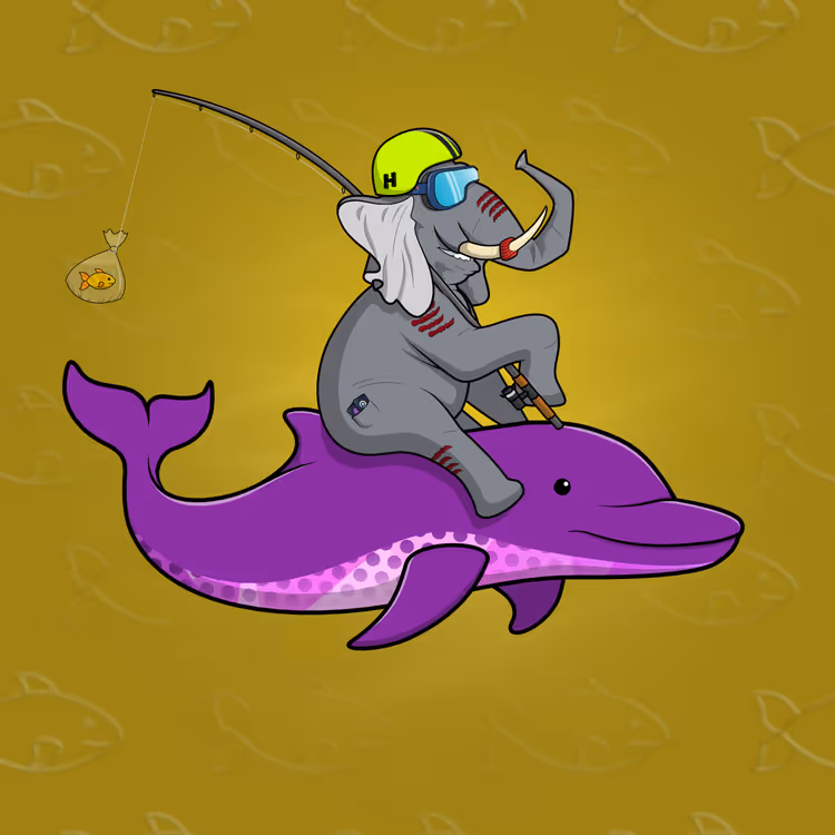 Ocean Racer #12316