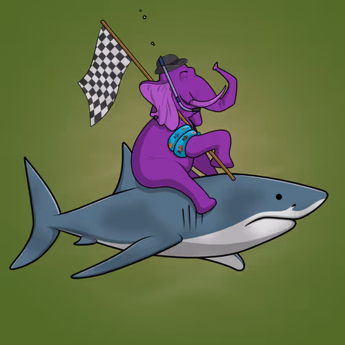 Ocean Racer #1032