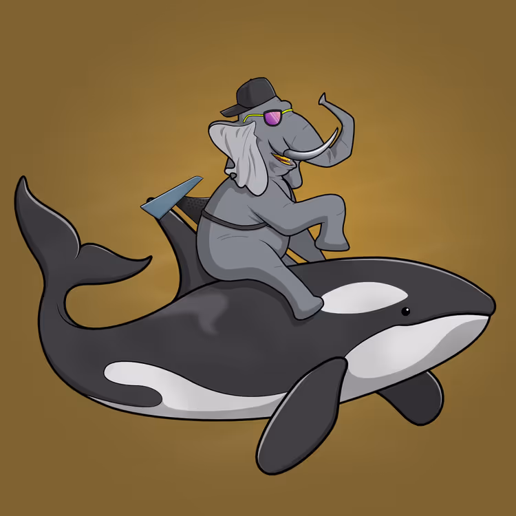 Ocean Racer #12402