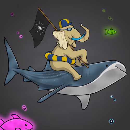 Ocean Racer #5093