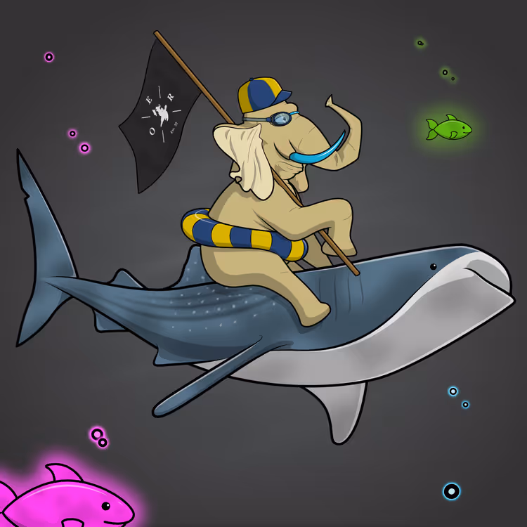 Ocean Racer #5093
