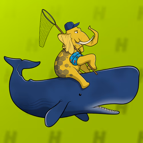 Ocean Racer #8685