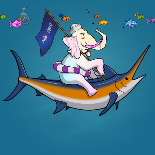 Ocean Racer #11567
