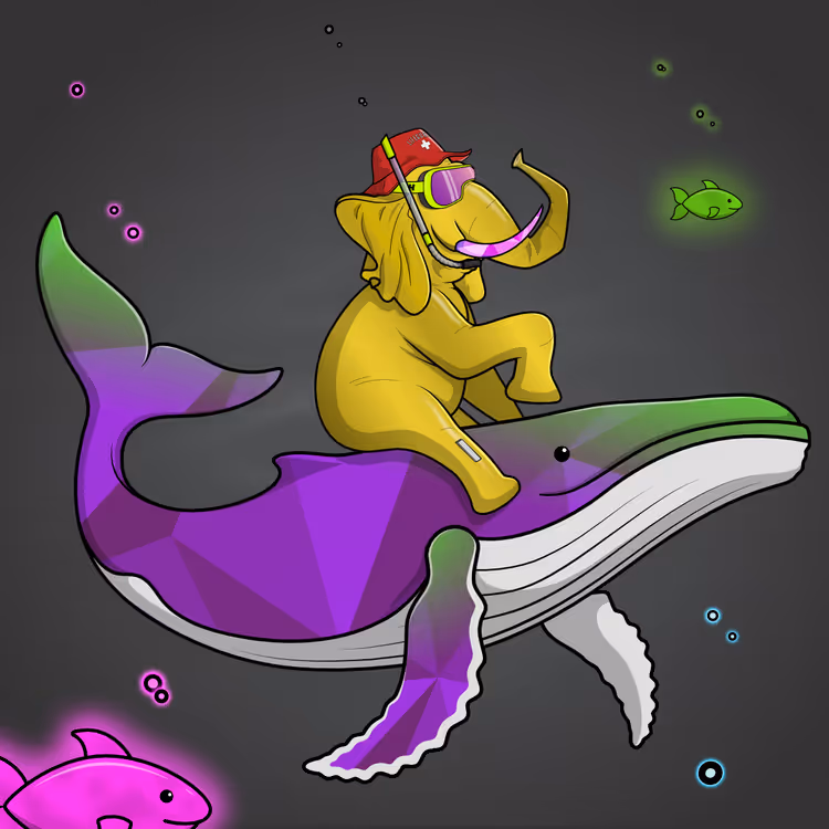 Ocean Racer #12393