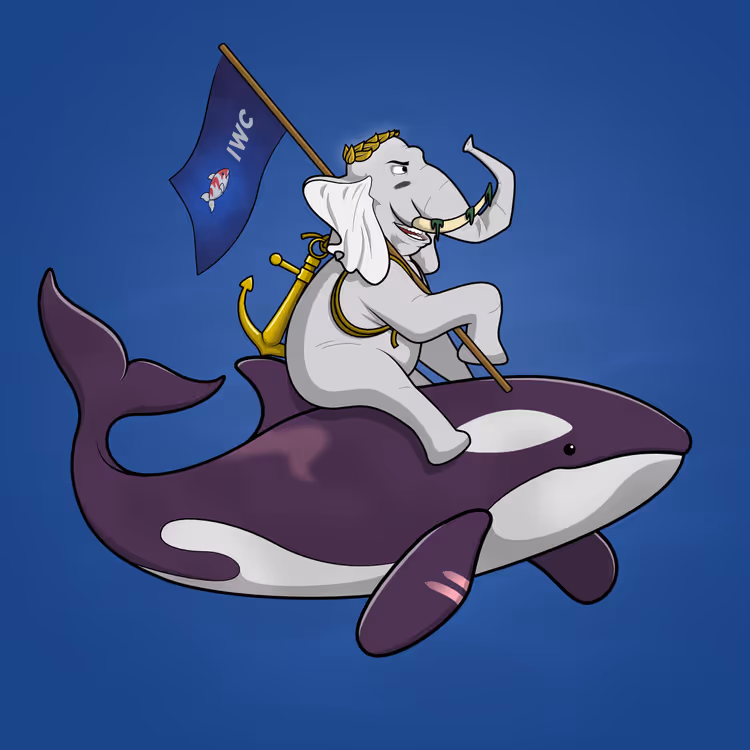 Ocean Racer #2398