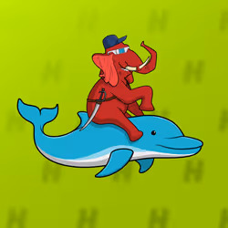Ocean Racer #18876