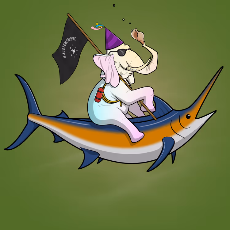 Ocean Racer #13989