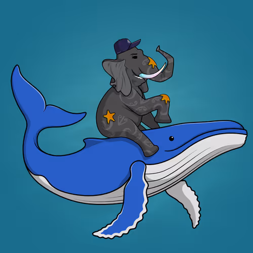 Ocean Racer #9960