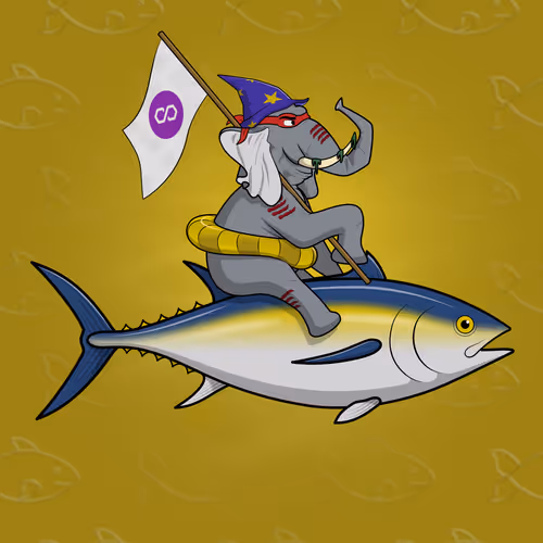 Ocean Racer #11692