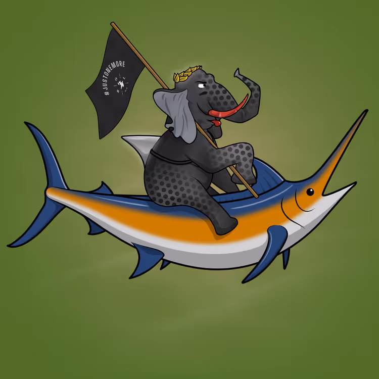 Ocean Racer #16158