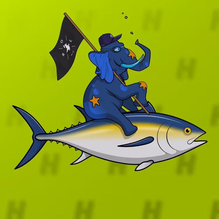 Ocean Racer #11164