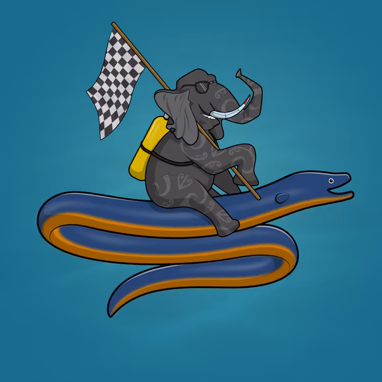 Ocean Racer #13996