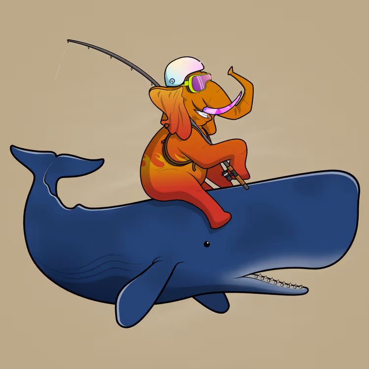 Ocean Racer #9346