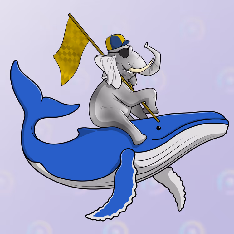 Ocean Racer #19005