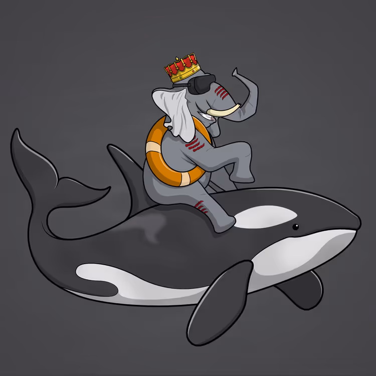 Ocean Racer #4930