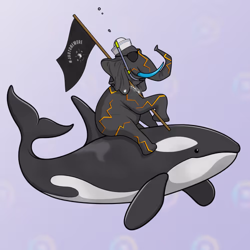 Ocean Racer #13219