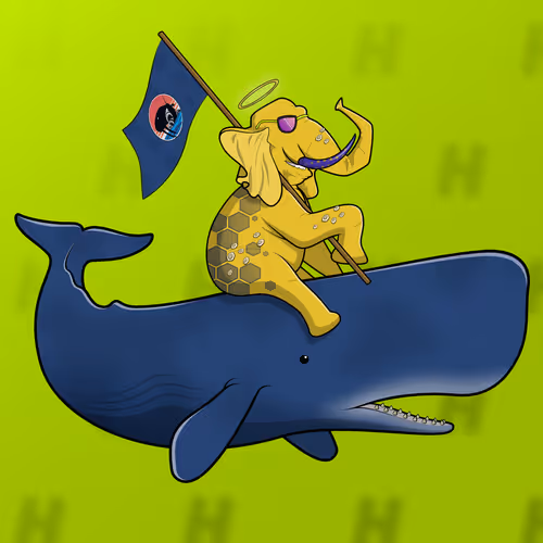 Ocean Racer #11162