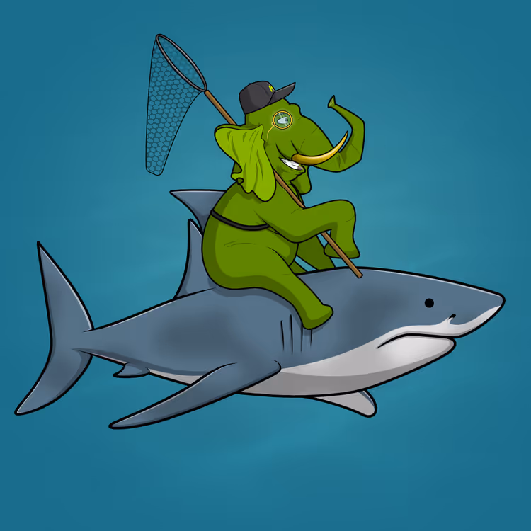Ocean Racer #11619