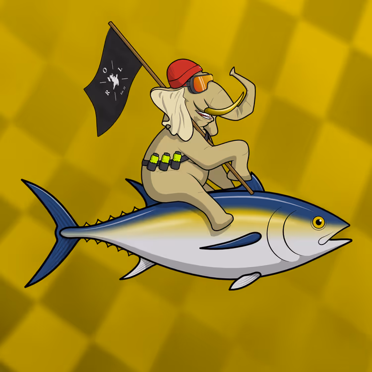 Ocean Racer #14644