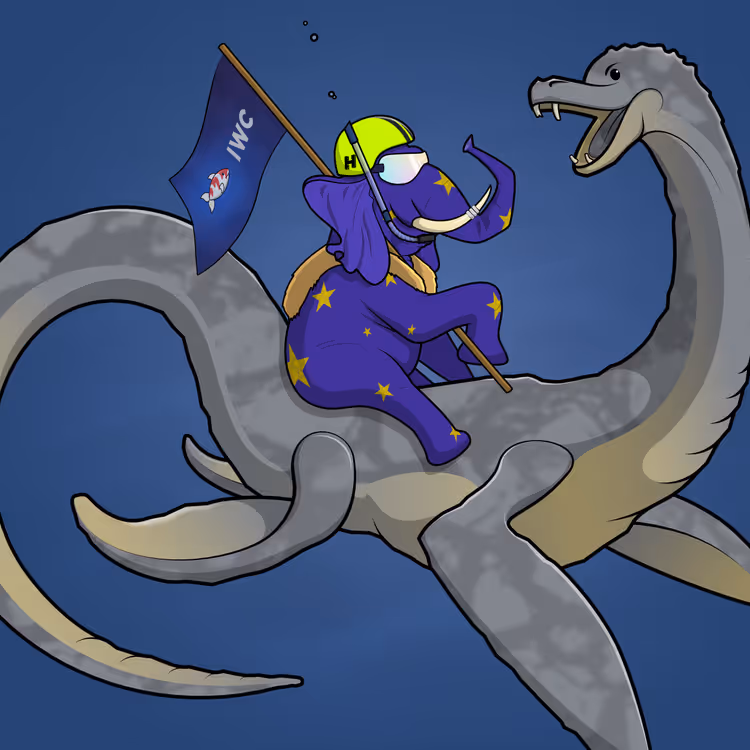 Ocean Racer #22785