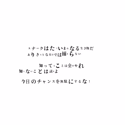 Item #11 Media
