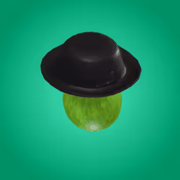Item #28 Media