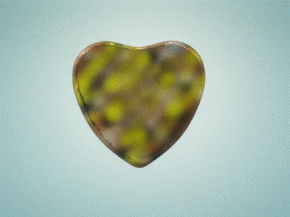 Item #84817653643574440536575130473169128135848323213030537748053022963337722331638 Media