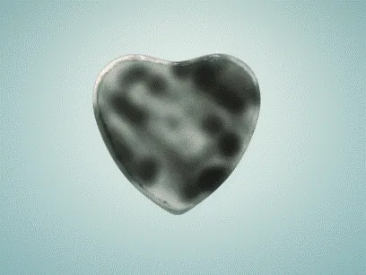 Item #84817653643574440536575130473169128135848323213030537748053022963337722331321 Media