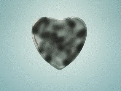 Item #84817653643574440536575130473169128135848323213030537748053022963337722331295 Media