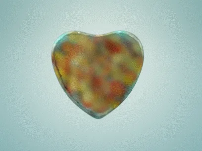 Item #84817653643574440536575130473169128135848323213030537748053022963337722331562 Media