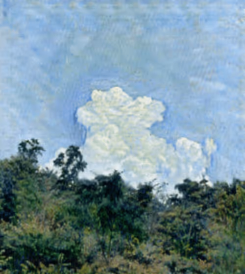 Item #695912368992434867886 Media