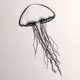 Jellyfish #24