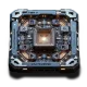 Chip Q - tier-7