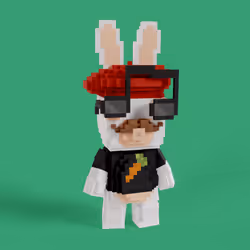 Rabbid #0653
