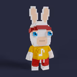 Rabbid #1325