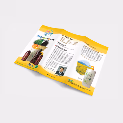 Jeju Specialty Shampoo Japan Promotion Brochure - Mar. 2009