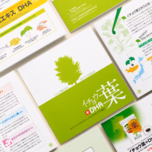 Aodama Supplement Catalog Design for Japanese Market - Dec. 2009