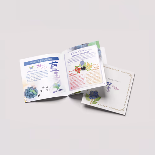 Aodama Blueberry Supplement Brochure Design - May. 2009