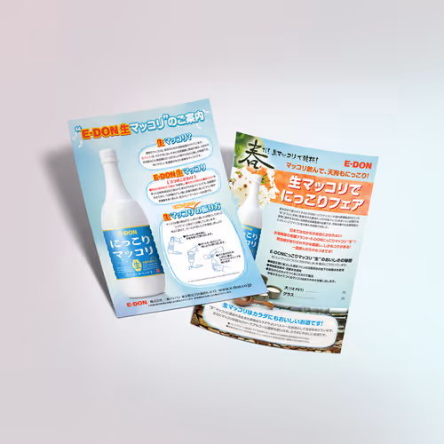 E-DON Nama Maccori Promotion Flyer Design For Japan Market - Mar. 2011
