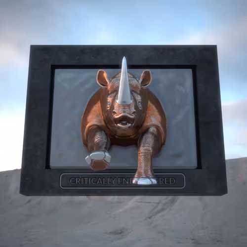 Item #63 Media